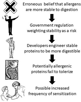 Erroneous Belief that Digestive Stability Predicts Allergenicity May Lead to Greater Risk for Novel Food Proteins